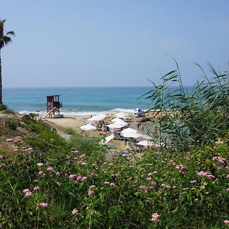 Limnaria Gardens Paphos, Near Beach Ngoại thất bức ảnh