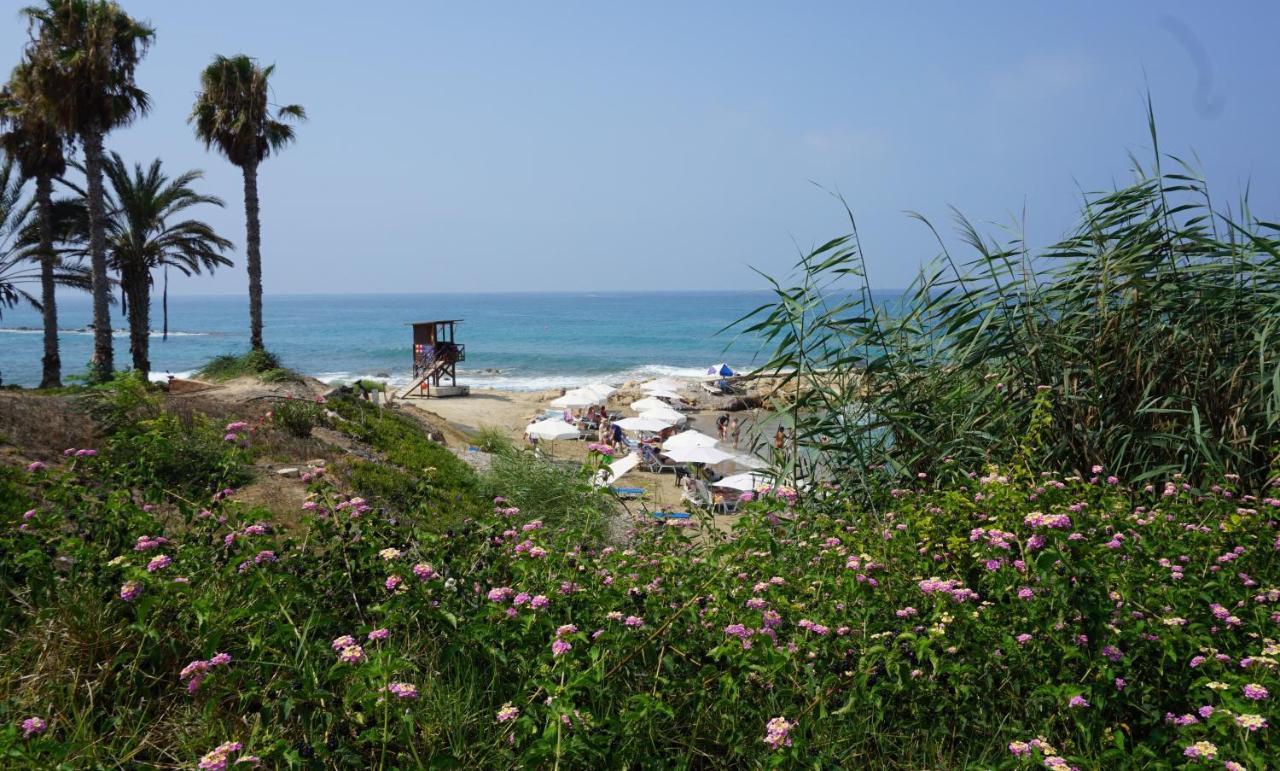 Limnaria Gardens Paphos, Near Beach Ngoại thất bức ảnh